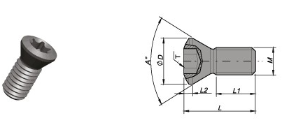 REPUESTO TORNILLO P0220500