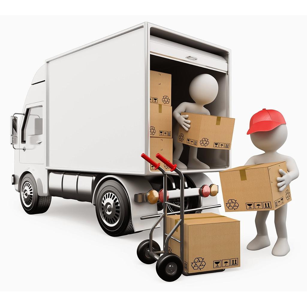 TRANSPORTE DE MAQUINARIA
