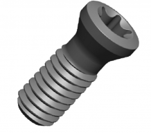 REPUESTO TORNILLO P0250705